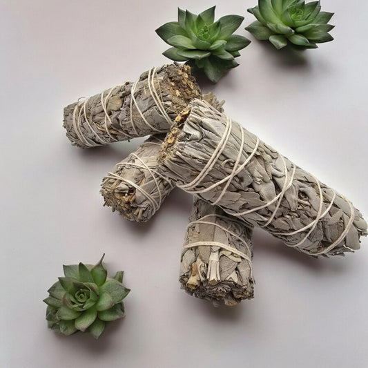 White Red Dragon Sage